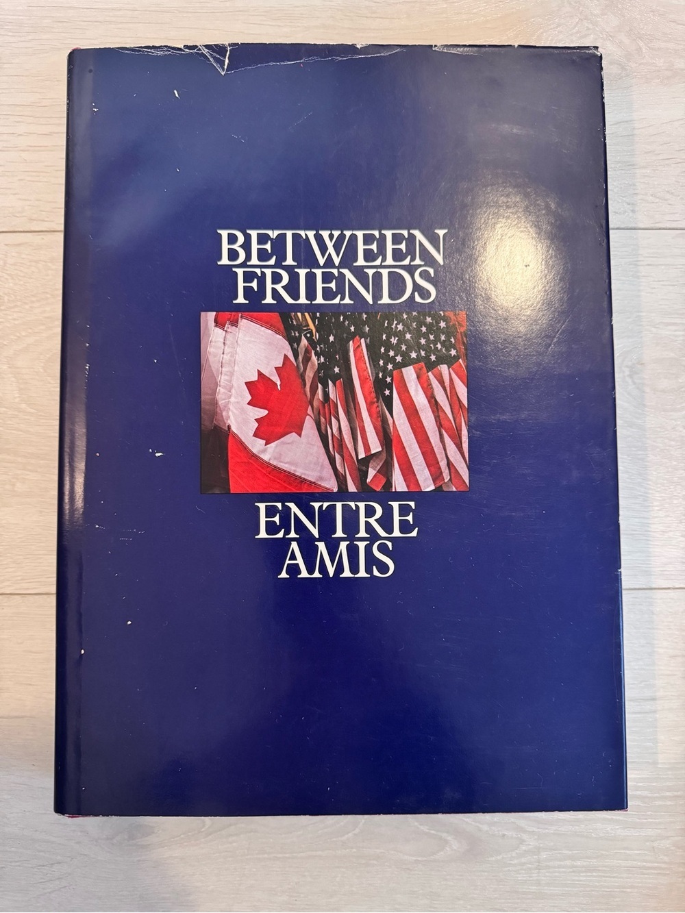 Between Friends Hardcover coffee table Book with Color Illustrations